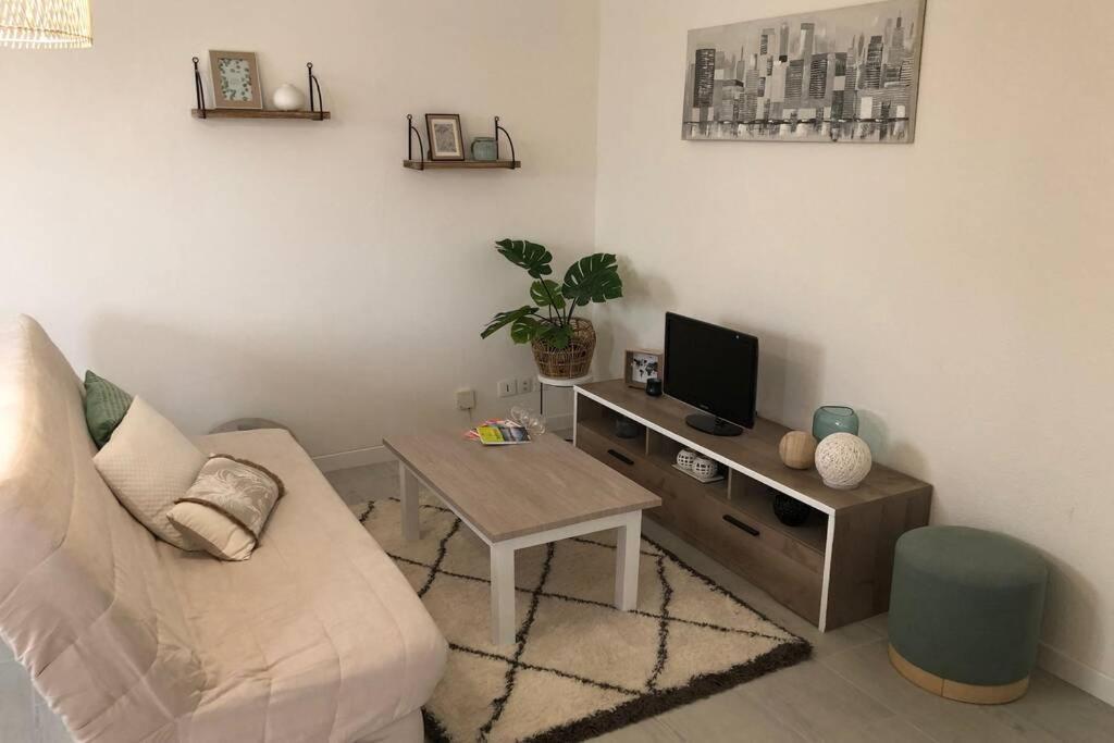 Appartement Cosy Avec Jardin A Blagnac. Luaran gambar